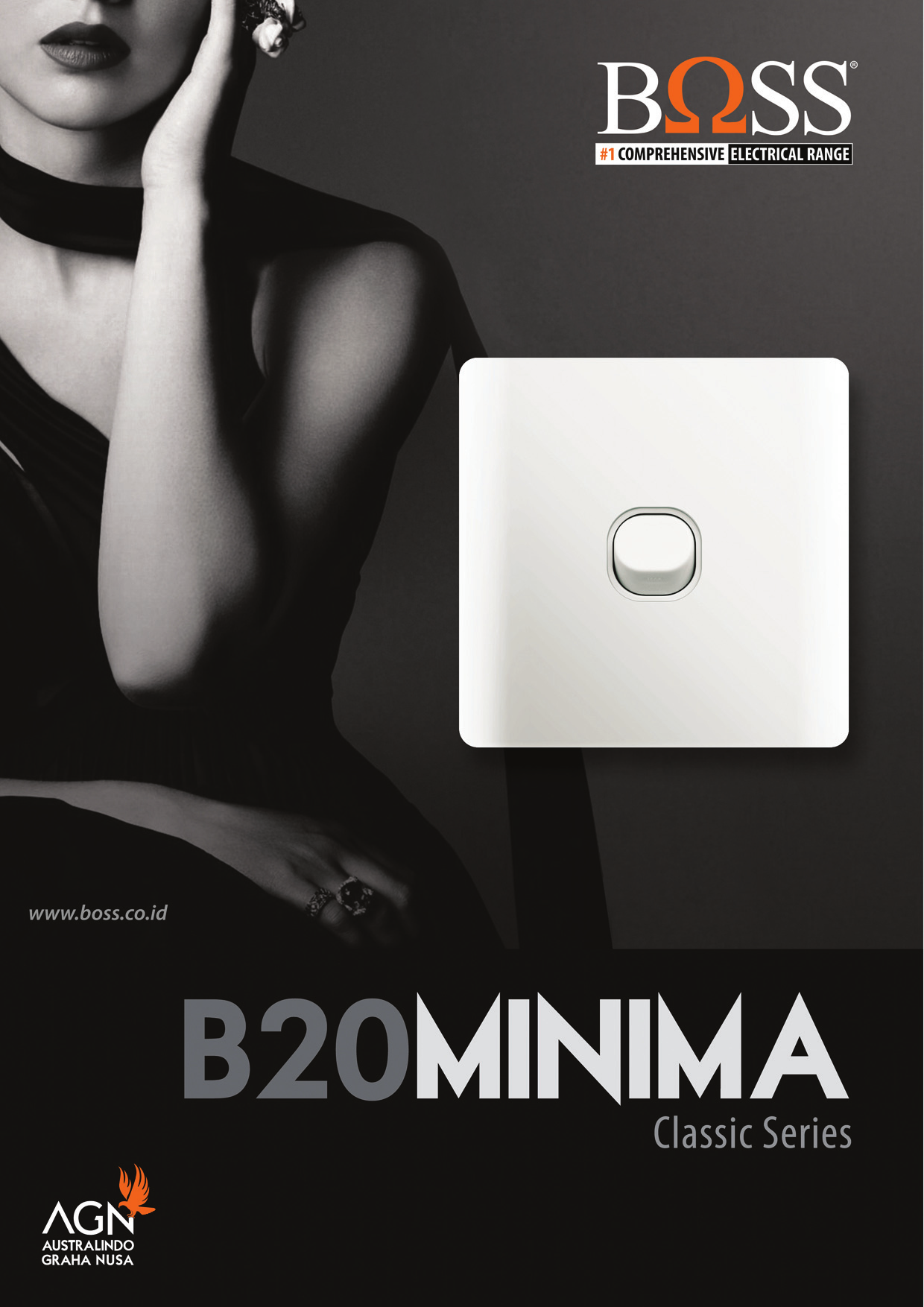 Boss Switch & Sockets