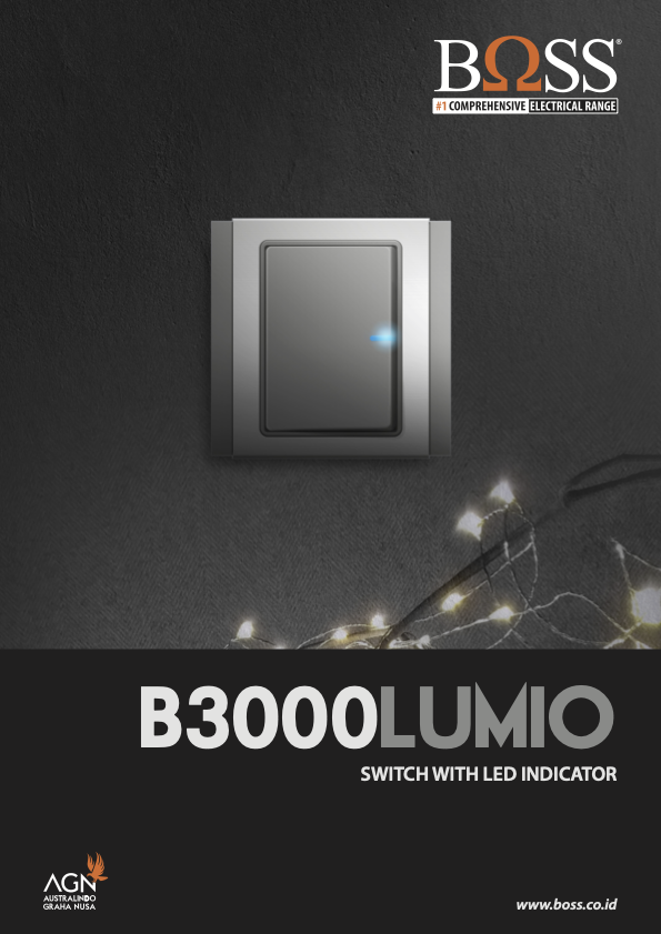 Boss Switch & Sockets