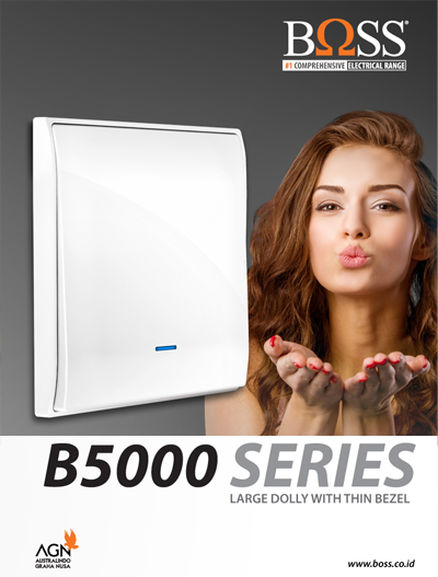 Boss Switch & Sockets