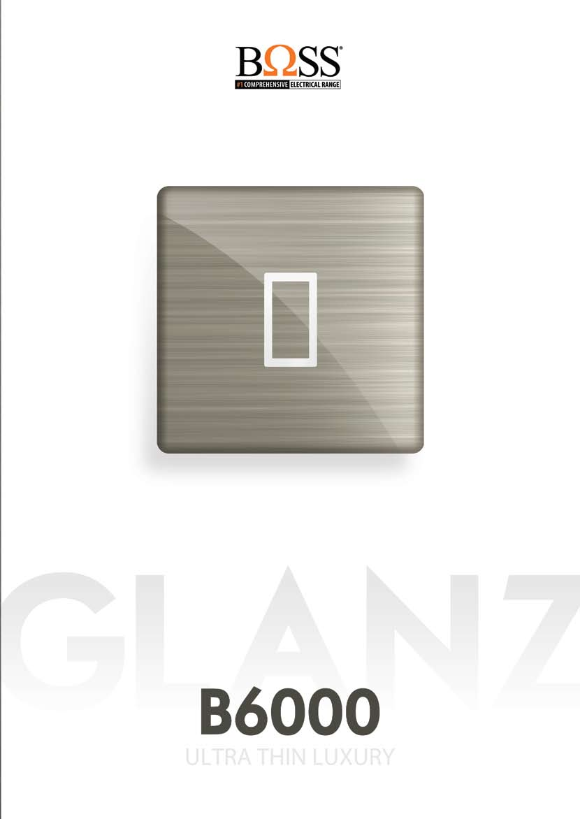 Boss Switch & Sockets